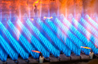 Kilcreggan gas fired boilers